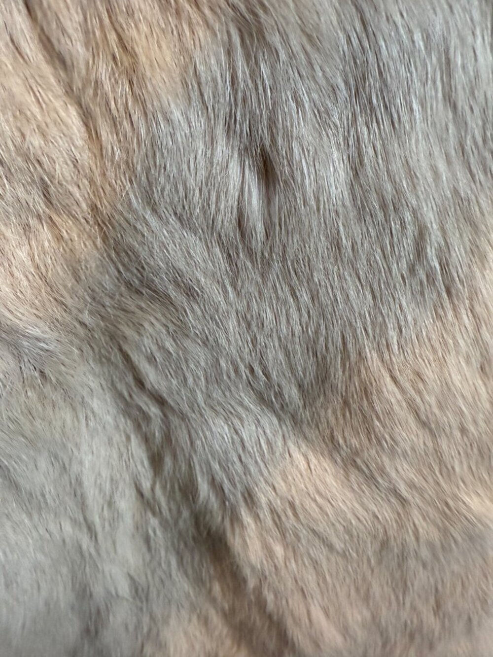 Vintage Vera Pelliccia Rabbit Fur Suede Cape Poncho Artistic Embroidery RARE - Picture 10 of 16